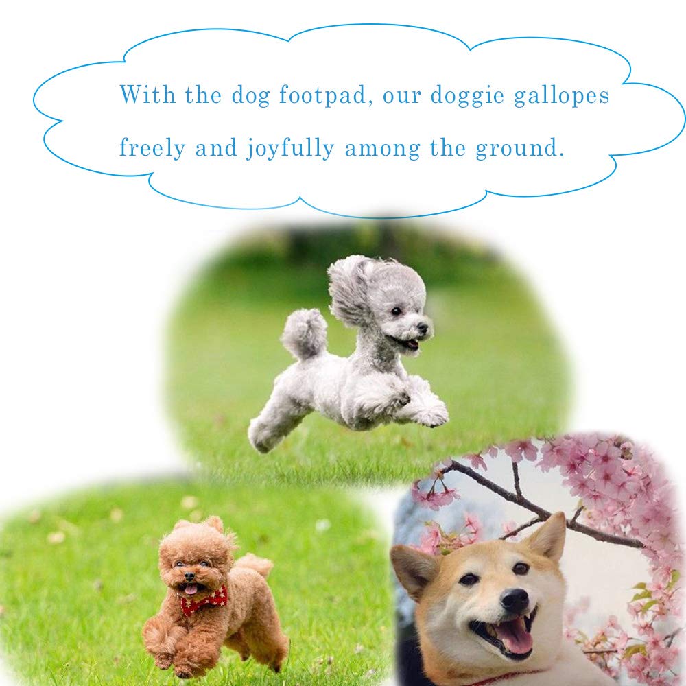 NA Lot de 8 patins adhésifs pour pattes de chien – Protection de pattes de chien pour animal de compagnie – Protection contre les blessures pour les activités de plein air