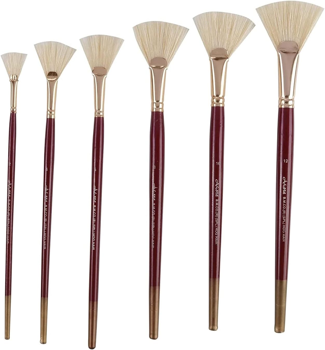 Arora Hard White Hair Fan Brush Set of 6 Pieces Painting Brush Set of 6 Pieces for Oil and Acrylic Painting