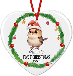Dinoz Baby First Christmas Wren Animal Lovers, Baby Animal Santa Claus Tree Custom Name Tree Hanging Decorations Two Sides Print Ceramic Heart Ornament Keepsake Gifts for Home