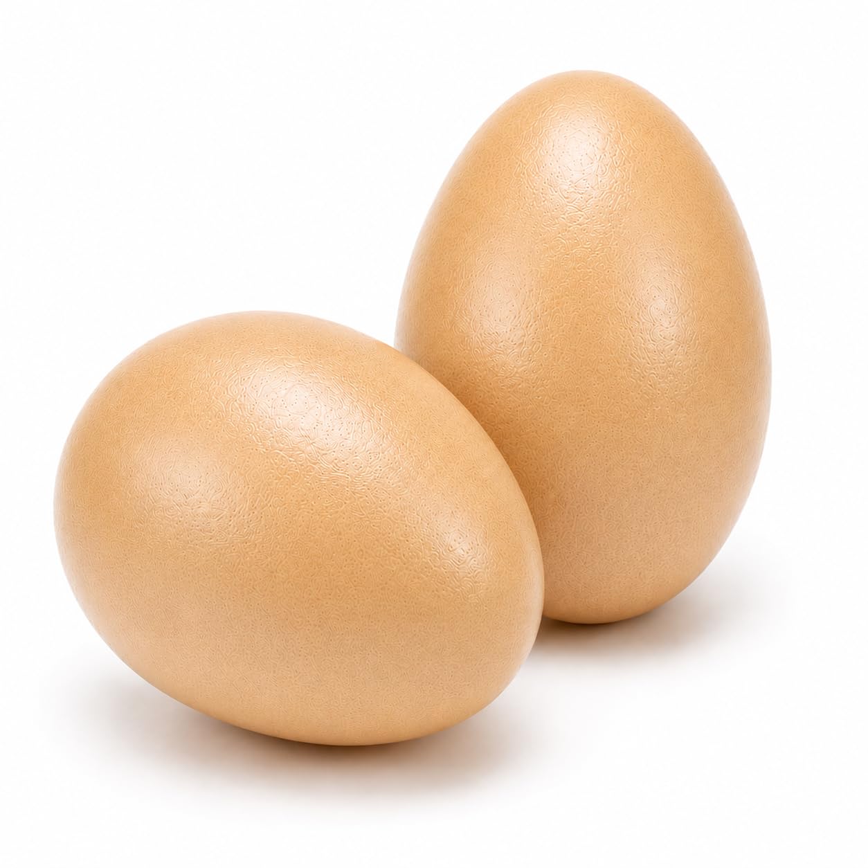 SunGrow Huevos De Gallina De Madera, Que Fomentan La Puesta De Huevos, Hechos con Madera Duradera