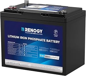 Batterie Renogy 100Ah LiFePO4 Bluetooth camping-car
