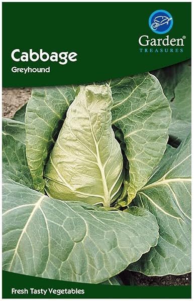 Garden Treasures Fresh Herbs Vegetable Fruit Seeds Salad Grow Your Own Indoor Outdoor (Broccoli Autumn Calabrese) - 2