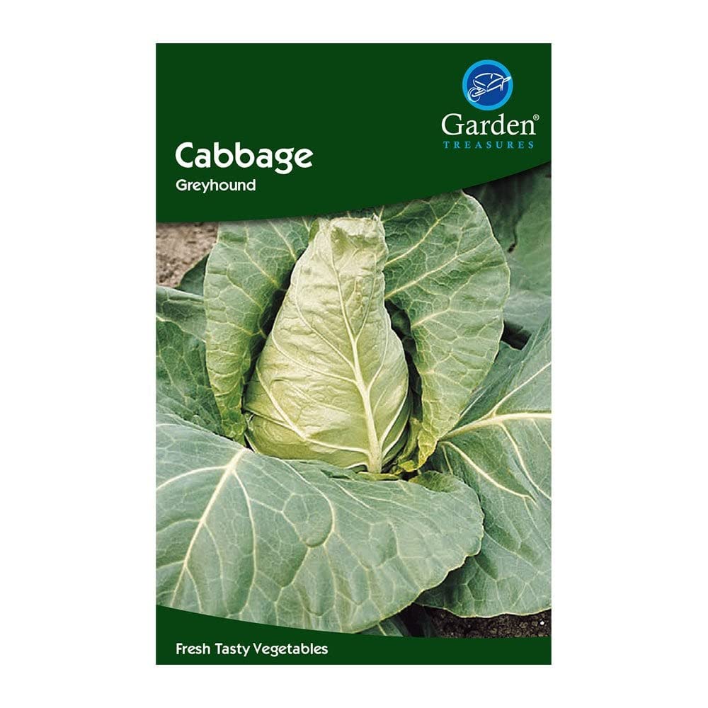 Garden Treasures Fresh Herbs Vegetable Fruit Seeds Salad Grow Your Own Indoor Outdoor (Broccoli Autumn Calabrese) — view 2