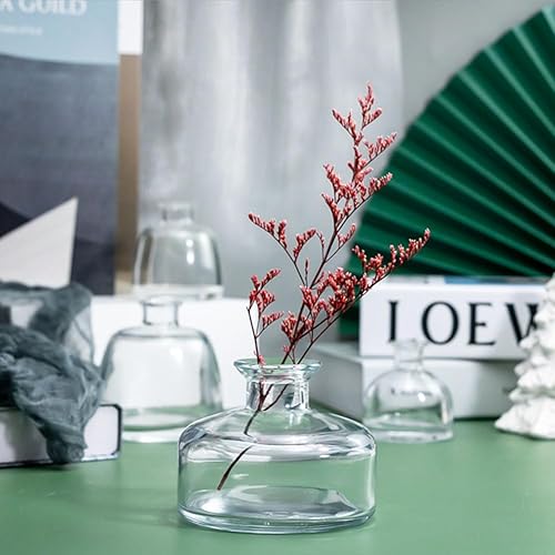 Miniatura 4 de Difusor de vidrio vacío recargable de 6.8 fl oz6.6 onzas, tarro difusor de frasco, contenedor de aromaterapia, aceites esenciales, accesorios de