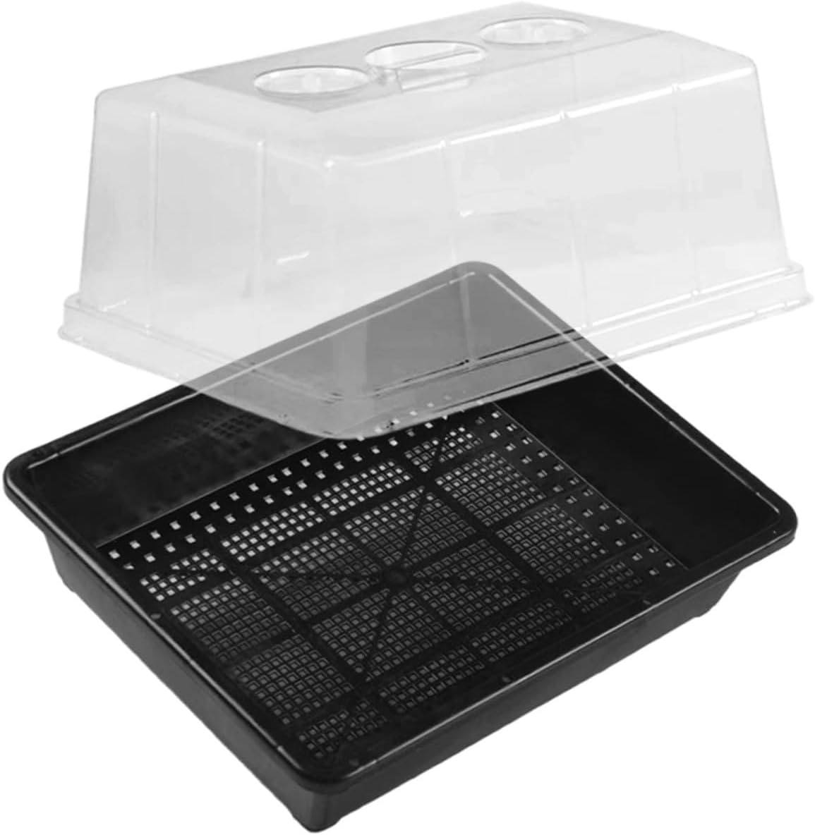 Seedling Starter Tray with Dome Nursery Germination Tray for Indoor Gardening with High Cover for Succulent and Carnivorous Plants
