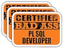(x3) Certified Bad Ass Pl SQL Developer Stickers | Cool Funny Occupation Job Career Gift Idea | 3M Sticker Vinyl Decal for Laptops, Hard Hats, Windows, Cars