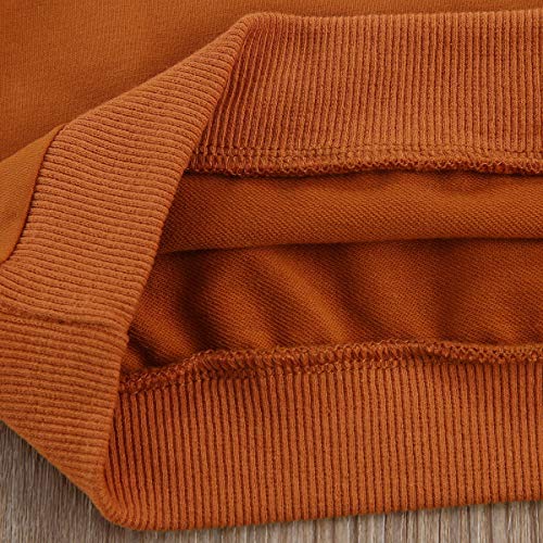 One Opening 1-6T Toddler Baby Boy Girl Pullover Sweatshirts Best Brother Sister Hoodies Shirts Girls Boys Fall Winter Clothes Outfits (Rainbow Brown, 5T-6T) #TOP5