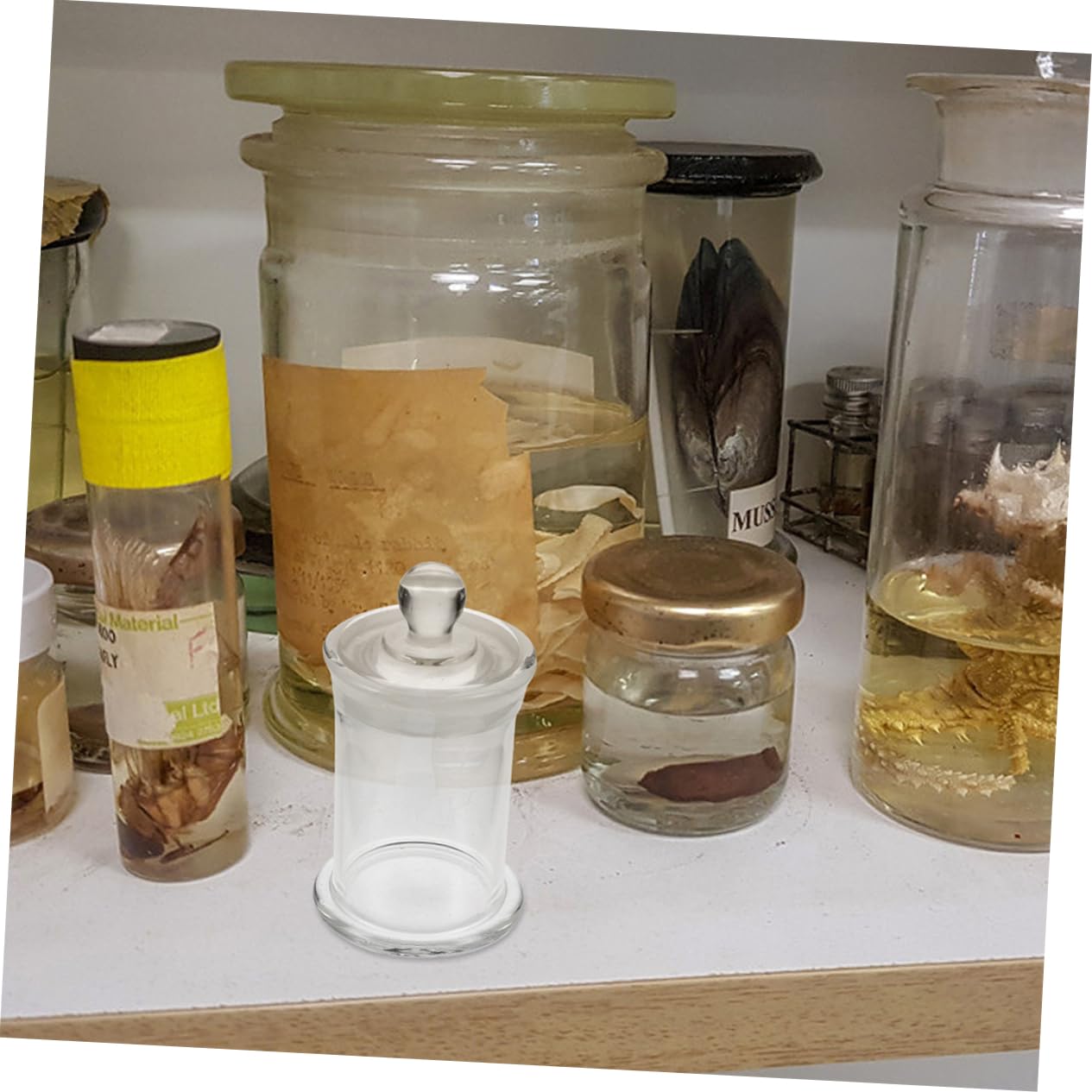 Gatuida 2stücke Hochtemperaturbeständige Borosilikatglas Flasche Für Probenlagerung Weinbrauen Ätherische Öle Laboranwendungen Mit Deckel