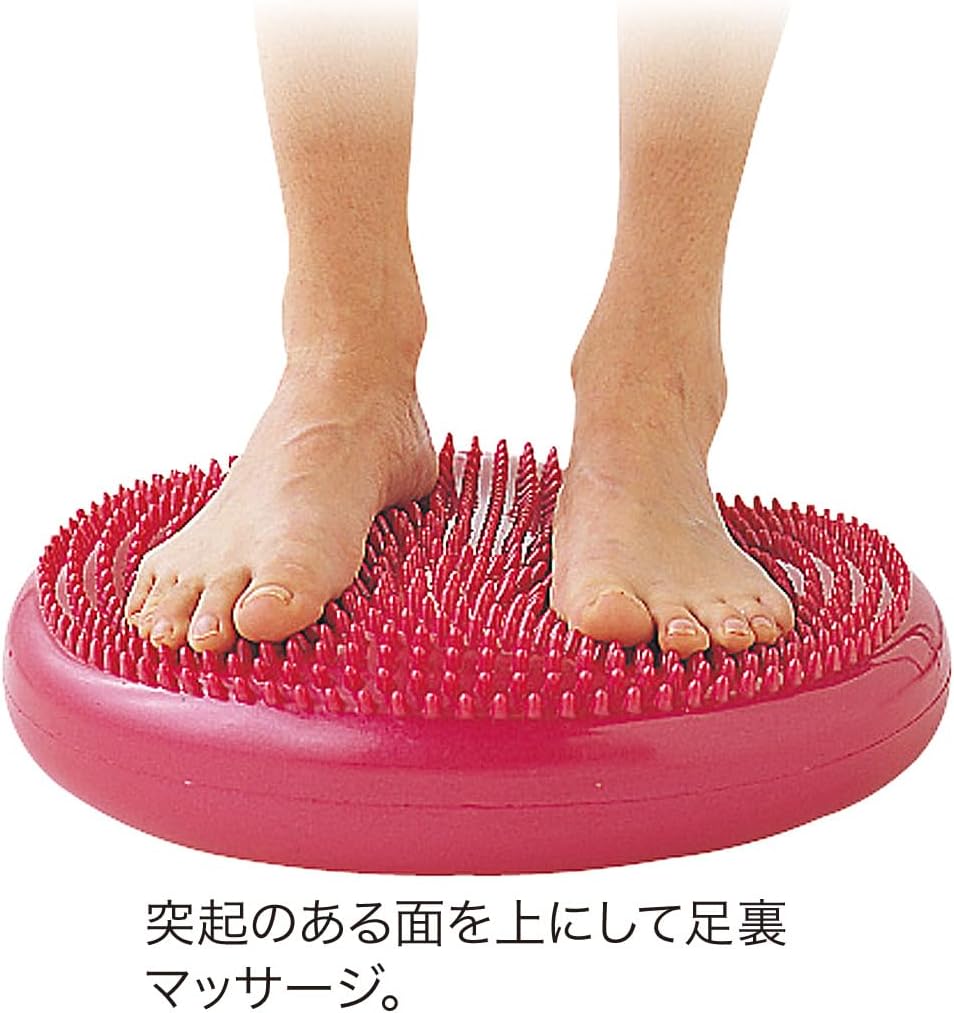 HATAS Balance Disc Pump Set