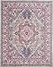 Nourison Passion Bohemian Light Grey/Pink 8' X 10' Area Rug, Easy Cleaning, Non Shedding, Bed Room, Living Room, Dining Room, Kitchen (8x10)