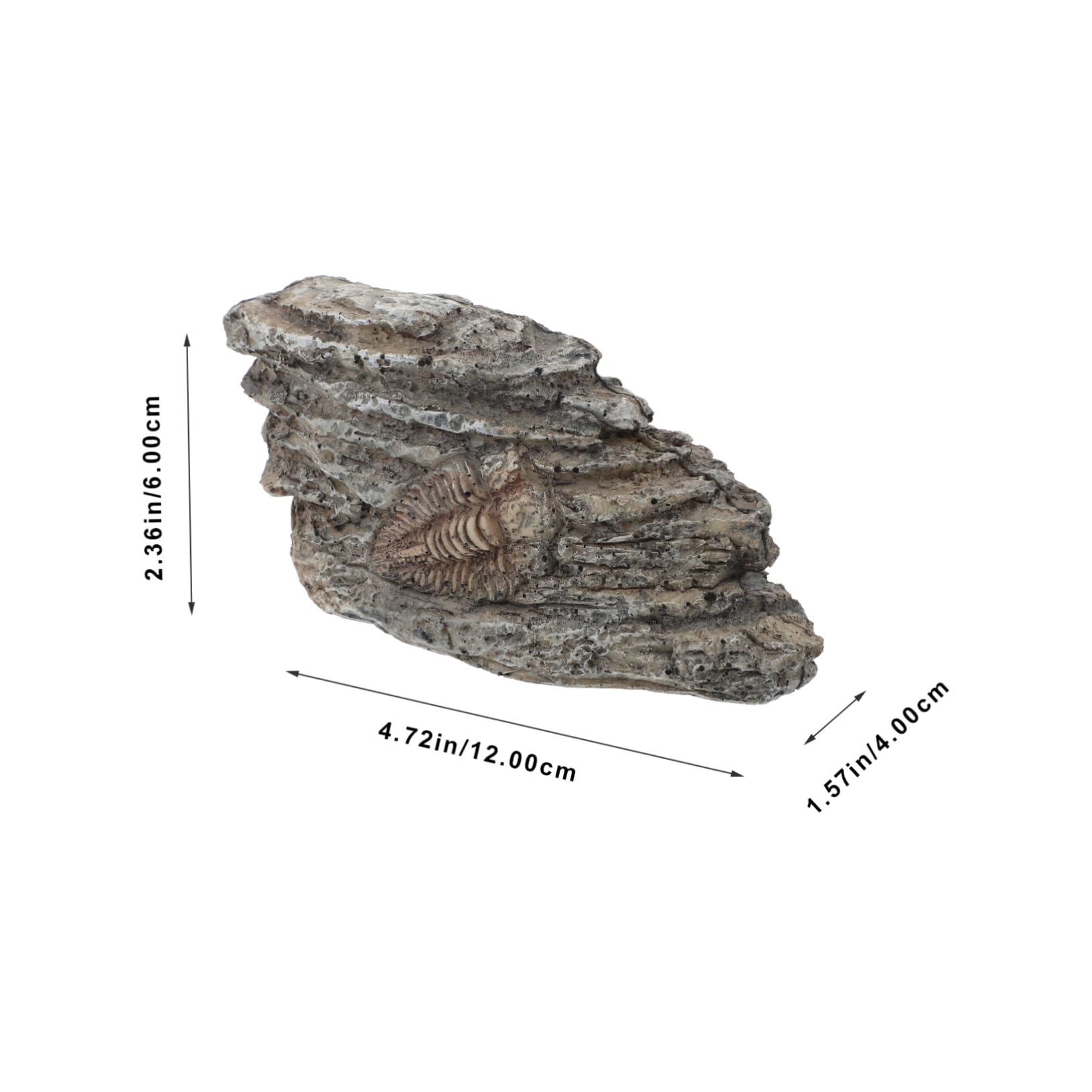 SOLUSTRE 5pièces Ornement Paléontologique Résine De Trilobite Pour Décoration Intérieure Et Enseignement Scientifique Fossile Décoratif Pour Aquarium Et Collection