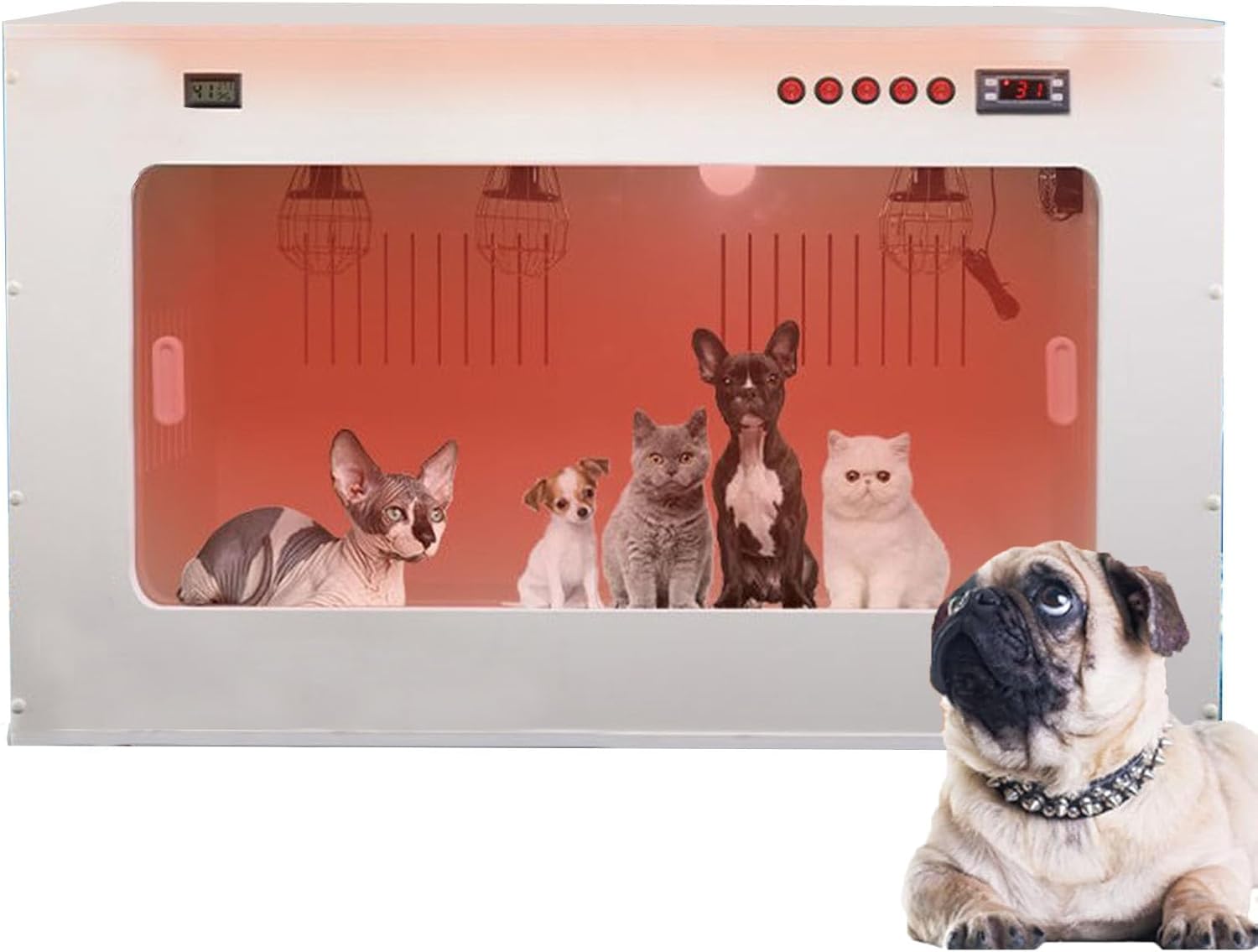 Dog Incubator Box, Pet Incubator Box Large Pet Brooder Nursery with Heating, Brooders and Incubators Perfect for Puppies (60 * 50 * 50cm)