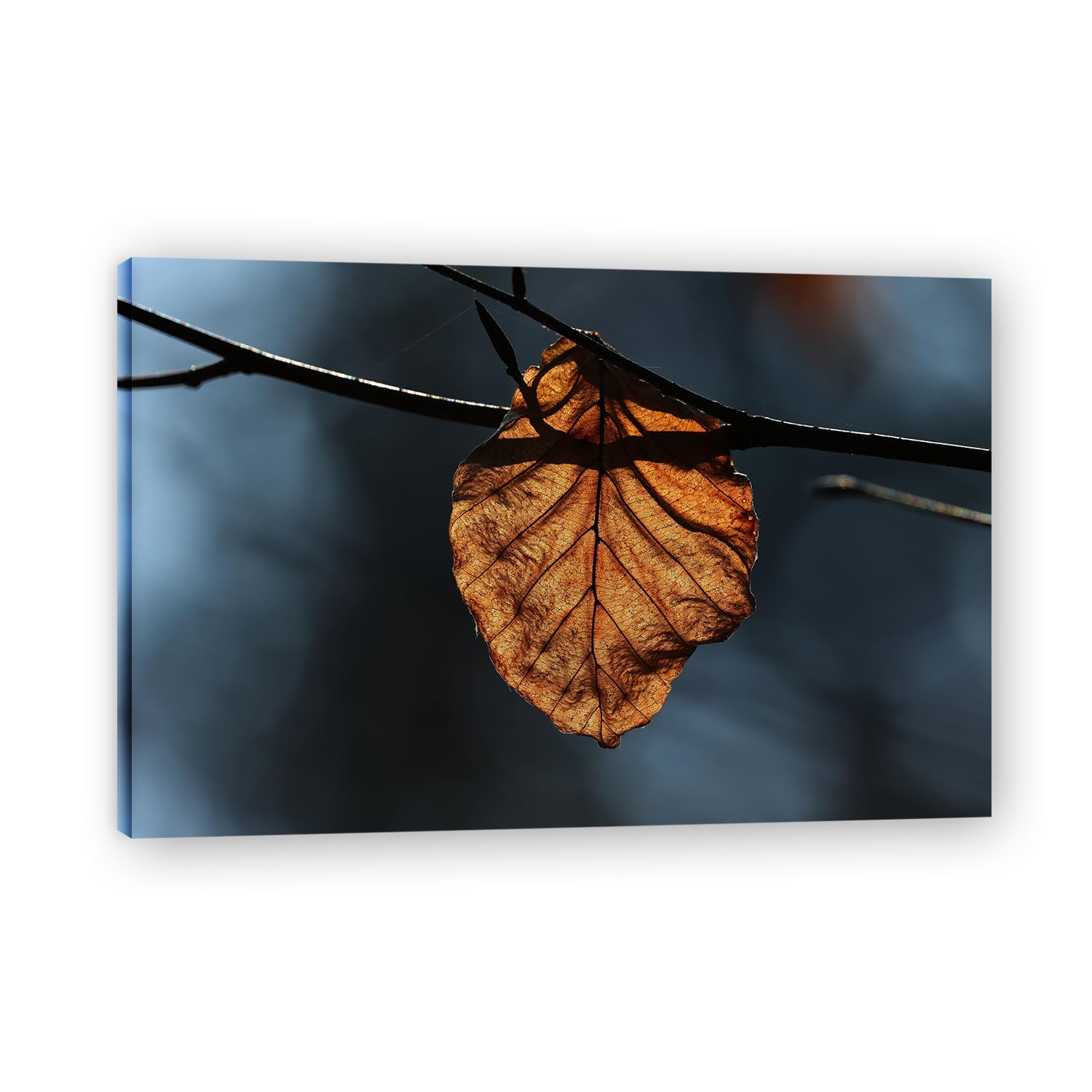 VHdfgTY WitheredLarge Mountain Landscape Canvas Wall Art Nature Scenery for Home Decor 20x30cm Framed