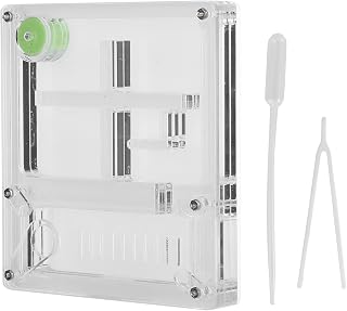 Caja de cría de Hormigas de acrílico, hábitat Transparente para colonias de Hormigas con algodón humectante, Kit Compacto de observación de Insectos Educativo para niños y Amantes
