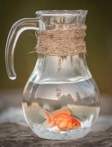 Miniatura 10 de LAIDANLA Grava decorativa de 1 libra15.87 oz con cristales de cuarzo rosa rosa pulido a granel gema natural para acuario, grava, piedras, pecera,