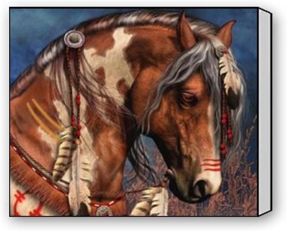 Buy Or Buy Art Canvas Wall Art Native American Horse Canvas Wall Art Print Size 20In