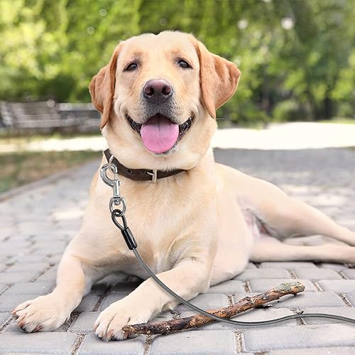 Vista 35 de BV Cable de amarre para perros de 25 pies – Cable resistente para perros de hasta 35 libras – Reflectante y libre de óxido con clips giratorios