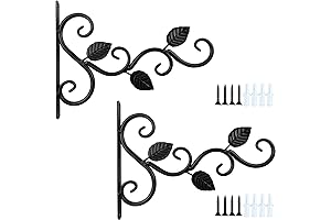 Premium Indoor Plant Hangers: Adorn Your Home with Greenery from Wall