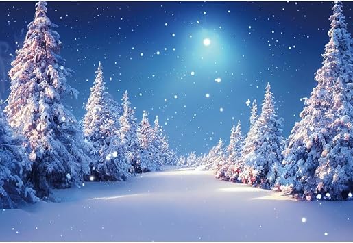 Laeacco Winter Forest Backdrop Polyester 5x3FT Winter Snowy Scene Photography Background Wonderland Night Xmas Pine Trees Christmas Newborn Baby Shower Birthday Party Decor Banner Photo Studio Shoot