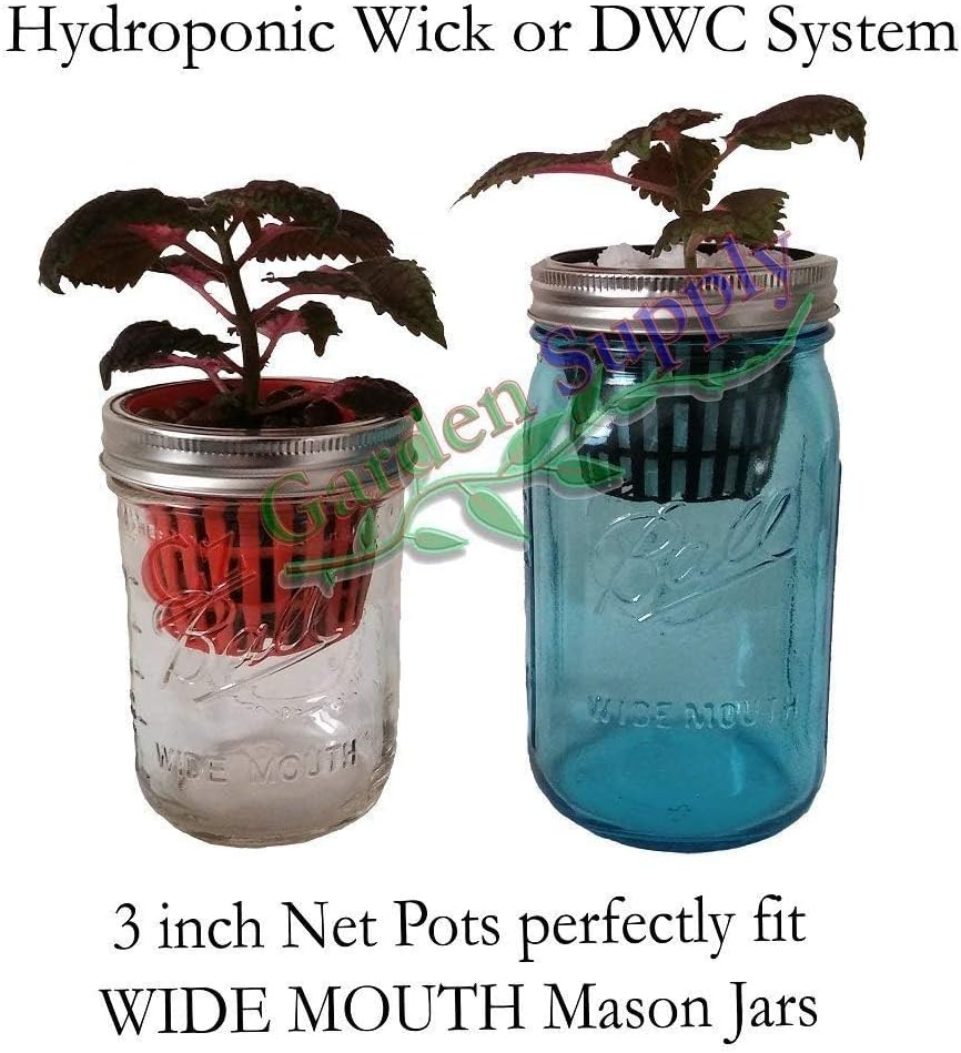 200 Pack 3 inch Round Net Cups Pots Wide Lip Design - Orchids • Aquaponics • Aquaculture • Hydroponics UV Resistant BPA Free Plastic Slotted Mesh Kratky Wide Mouth Mason Jars (Cz Garden 200 Pack)