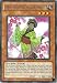 Yu-Gi-Oh! - Karakuri Komachi mdl 224 Ninishi (EXVC-EN030) - Extreme Victory - 1st Edition - Common