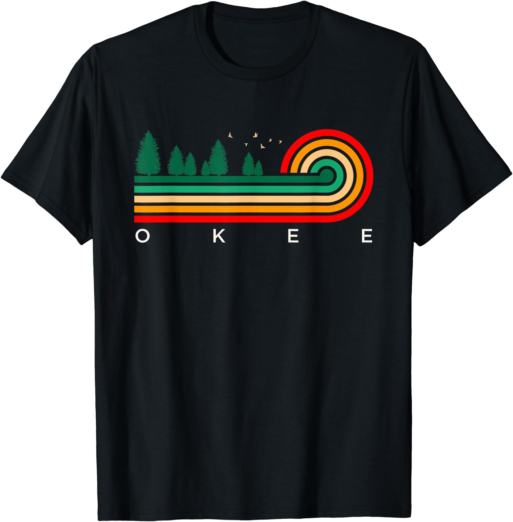 Evergreen Vintage Stripes Okee, Wisconsin T-Shirt