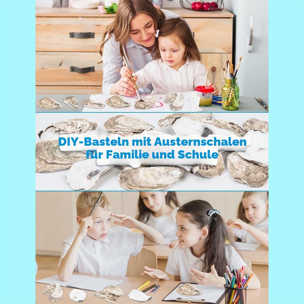 20 Packungen große Austernschalen zum Basteln liefern natürliche Wachstumsmuster mit Harter Textur für DIY Heimdekoration. 20 Stück Flache Austern