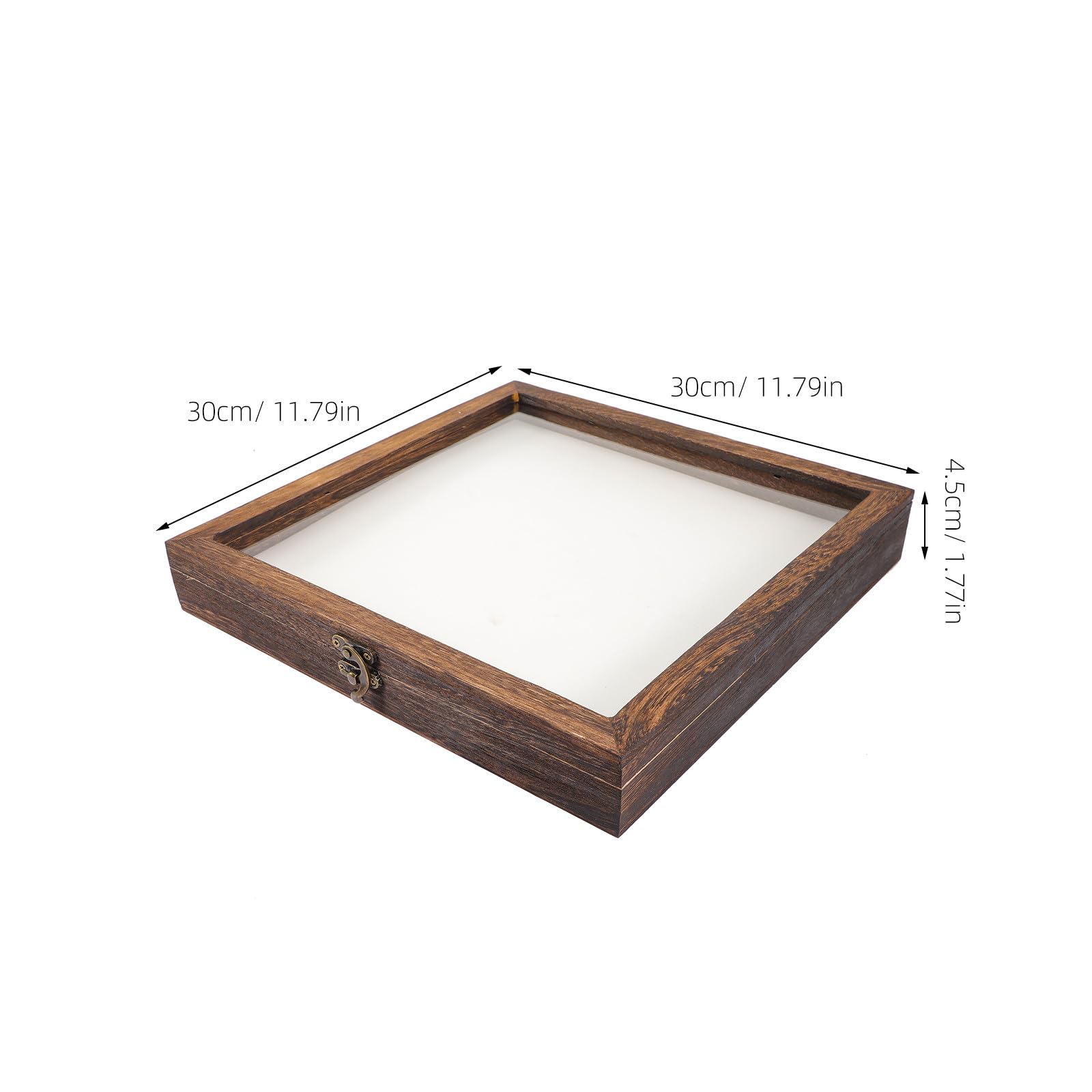 INOOMP Caja de Almacenamiento de Madera Almohadilla EVA y Tapa Transparente, Estuche para Exhibición de Muestras de Flores Secas y Especímenes en Vitrinas Portátiles Estilo