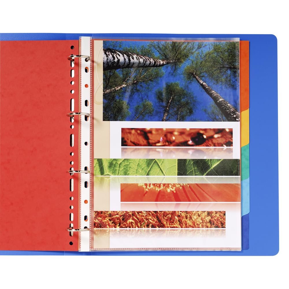 Exacompta - Ref 2406SE - Pack of 3 Sets of dividers Made of Genuine Soft Glossy Card 225 g/m2 FSC with 6 Neutral tabs - Format to File A4 Maxi - Size 24.5 x 29.7 cm - Assorted Colours - Image 4
