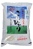 令和7年産 新米 こしひ
