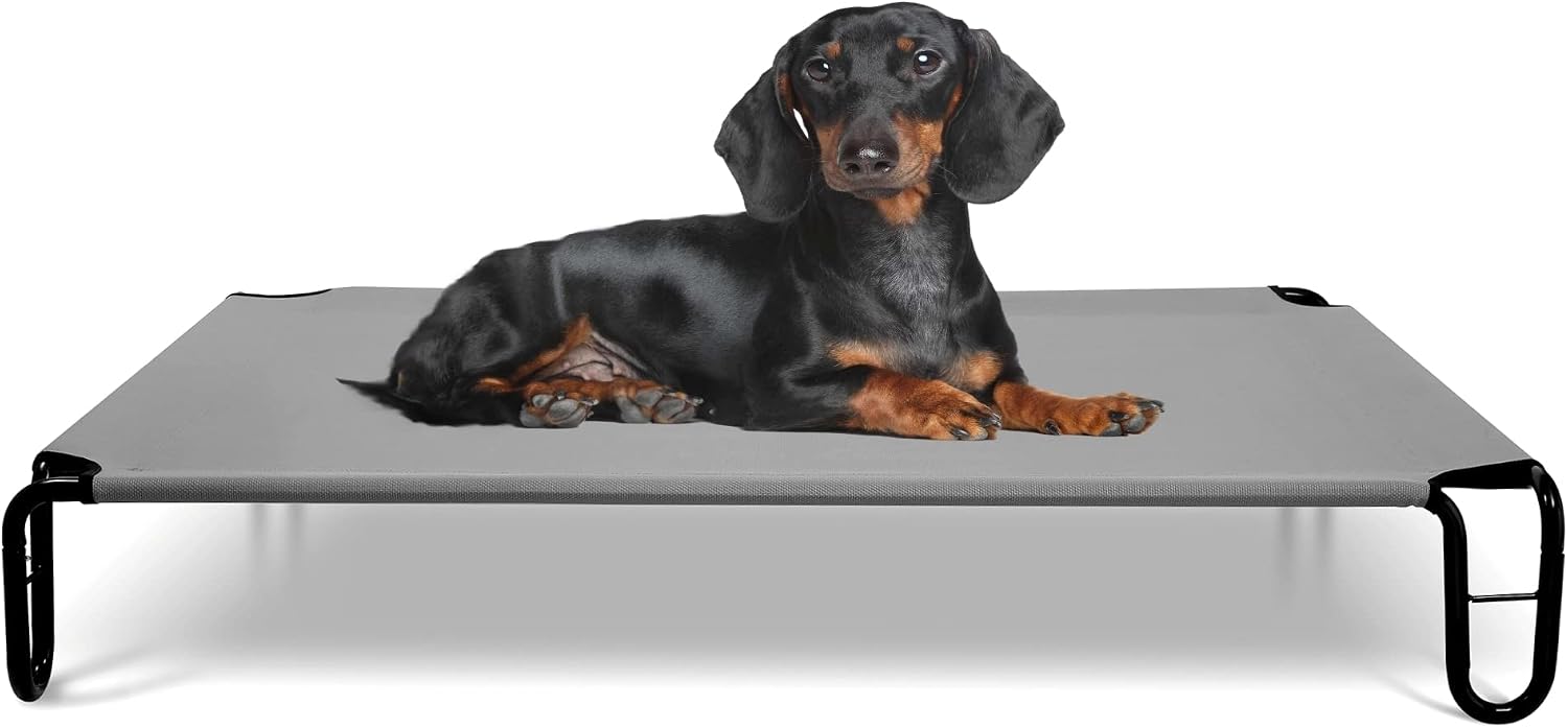 BestVida Elevated Dog Bed (Small, Grey)