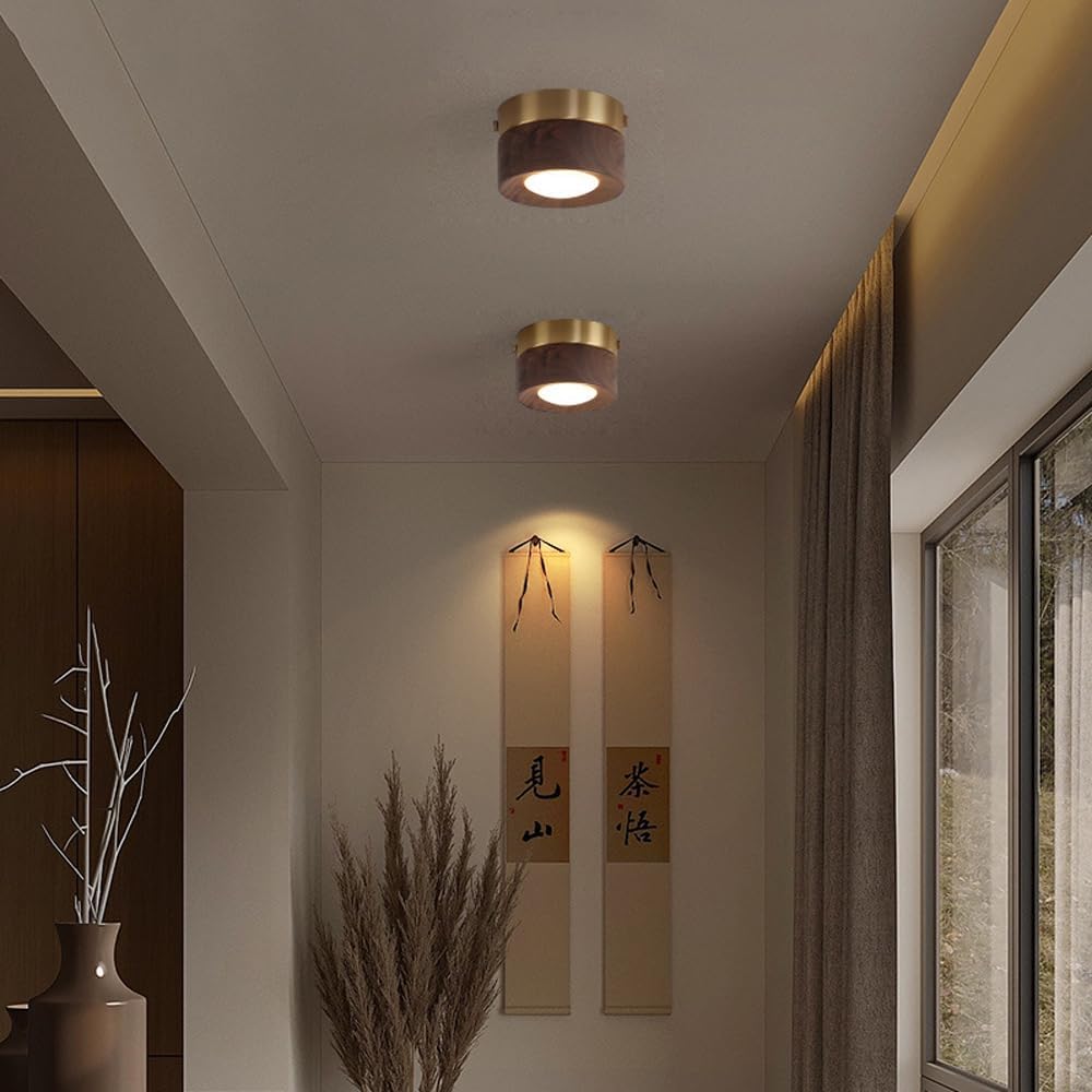 LED Spotlight Flush Mount Spot Lighting Fixture Walnut Ceiling Downlight Accent Lamp, Brass Ceiling Spotlights for Closet Hallway Stairs Kitchen Mini Close to Ceiling Light