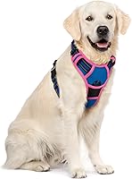Vista 94 de rabbitgoo Arnés para perro, arnés sin tirones para mascotas con 2 clips para correa, chaleco acolchado suave ajustable para perro, chaleco Oxford