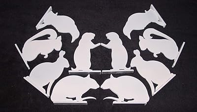 8 inch Steel Targets-Animal Silhouette Shooting Targets-1/4in. Metal Plate-10pcs