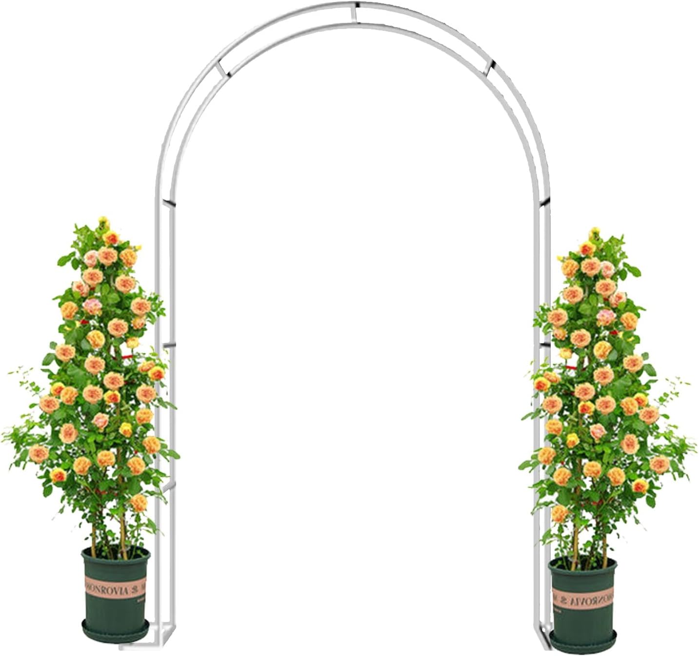 Easy-to-Assemble Garden Arch, Indoor Garden or Wedding Arch Arbor, for Wedding Bridal Party, Garden Climbing Plants Vines Garden Arbor(White,55x15.7x90in)