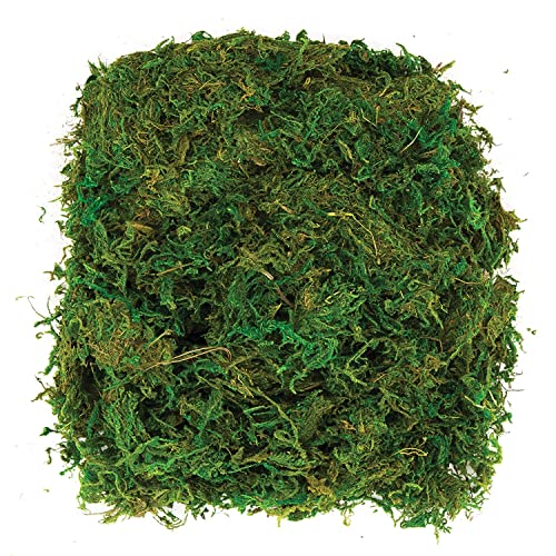 ISDI 4 Paquetes de Simulación Artificial de Musgo,Planta Simulada de Musgo Verde Simulación de liquen Artificial Lichen Verde Falso Musgo para Plantas Patio Jardín Decoración del Hogar