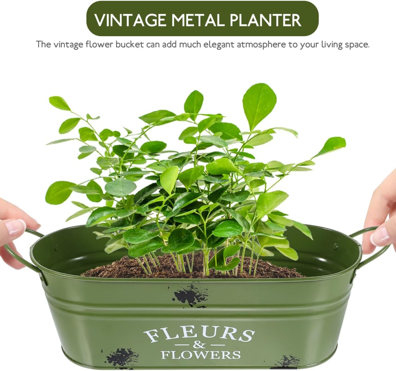 Vintage Galvanized Iron Bucket Oval Plant Planter Flowerpot Vase Rustic Garden Decor for Flowers and Succulents