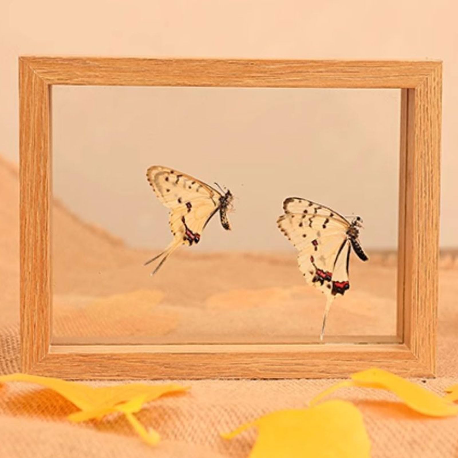 Marco de fotos, marco flotante vidrio doble cara, color nogal/madera, varios tamaños(Original Wood Color,Square 8 inches)