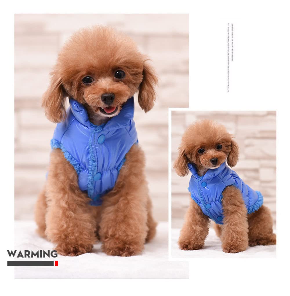 Ropa para Perros pequeños, Abrigo de Invierno, Chaqueta de Plumas para Mascotas, Ropa para Perros y Gatos, Chaleco cálido, Ropa para Gatitos y Gatos (Azul XS)
