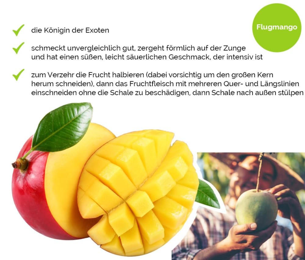 Hansen Obst Geschenkbox "Exotisches Paradies" mit Geschenkverpackung "Die Aquamarine" - Geschenk mit frischem Obst - Obstbox - exotische Früchte