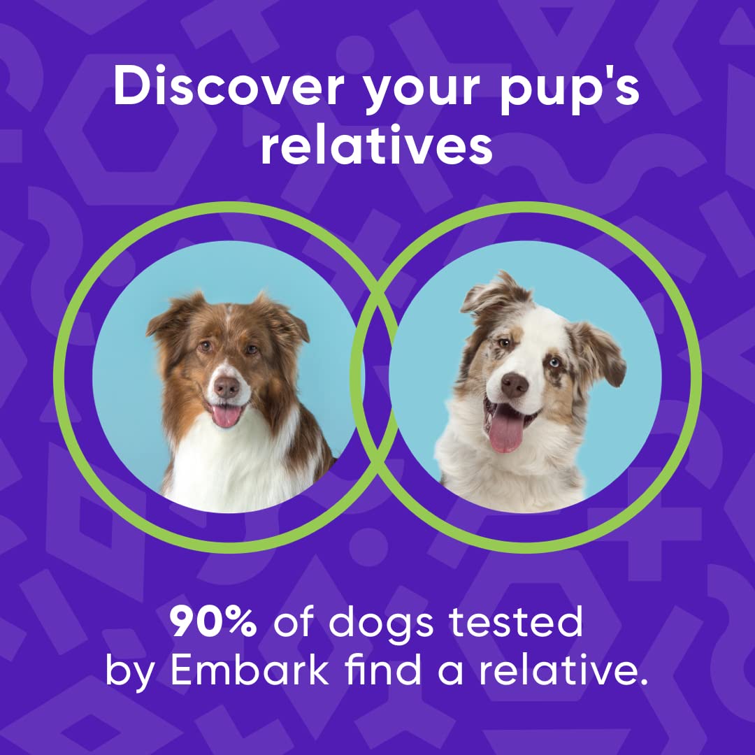 Embark Dog DNA Test Kit Breed & Ancestry Discovery Trait