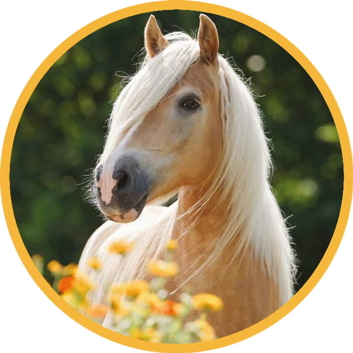 Déco Comestible Gâteau Cheval – Diamètre 20 Cm – Impression Sucre Alimentaire – Idéal Anniversaire Enfant & Fête