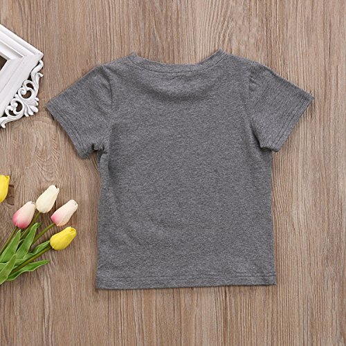 Big Brother Print T-Shirt, Gray (Big Brother), 2-3 Years/Tag 110 #TOP6