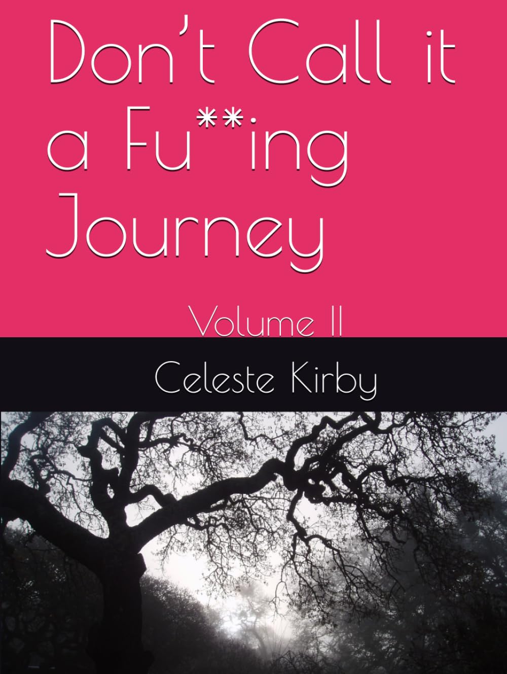 Don’t Call it a Fu**ing Journey: Volume II