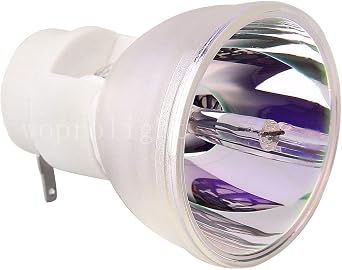 SP.8VH01GC01 Replacement Compatible Projector Bulb for Projectors