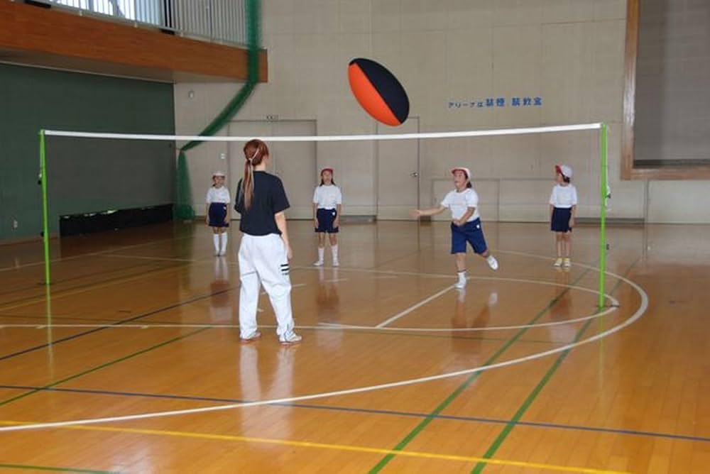 Amazon | アカバネ(AKABANE)ヘルスバレーボール 日本ヘルス