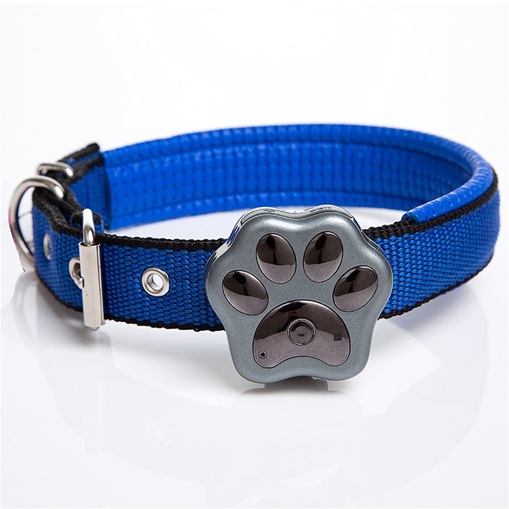 DDH Collar de rastreador GPS Perro Gato Inteligente, localizador de Mascotas Impermeable con Flash, sin comisión mensual-Black English