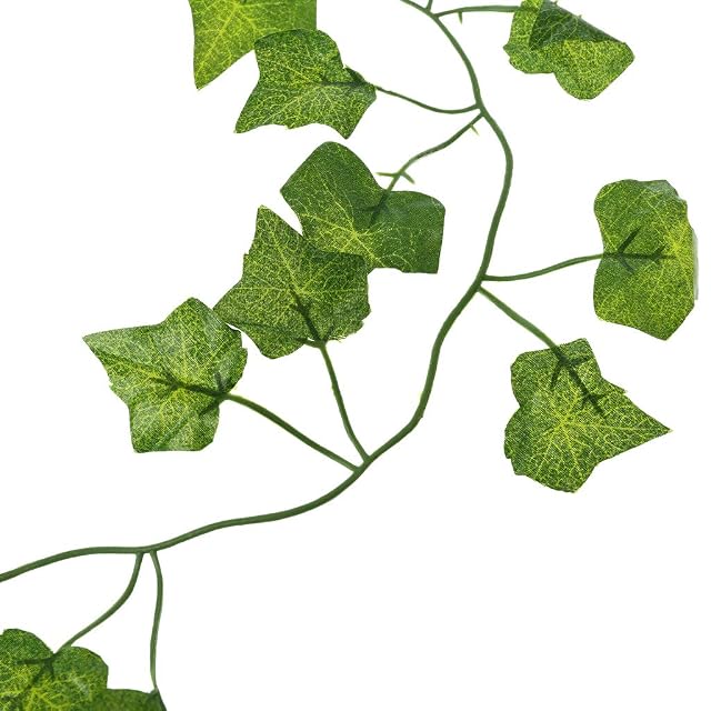 Foto 3 de 7 de Navna Terrario de escalada para acuario, plantas, peces, para decoración de tanques, terrario para anfibios
