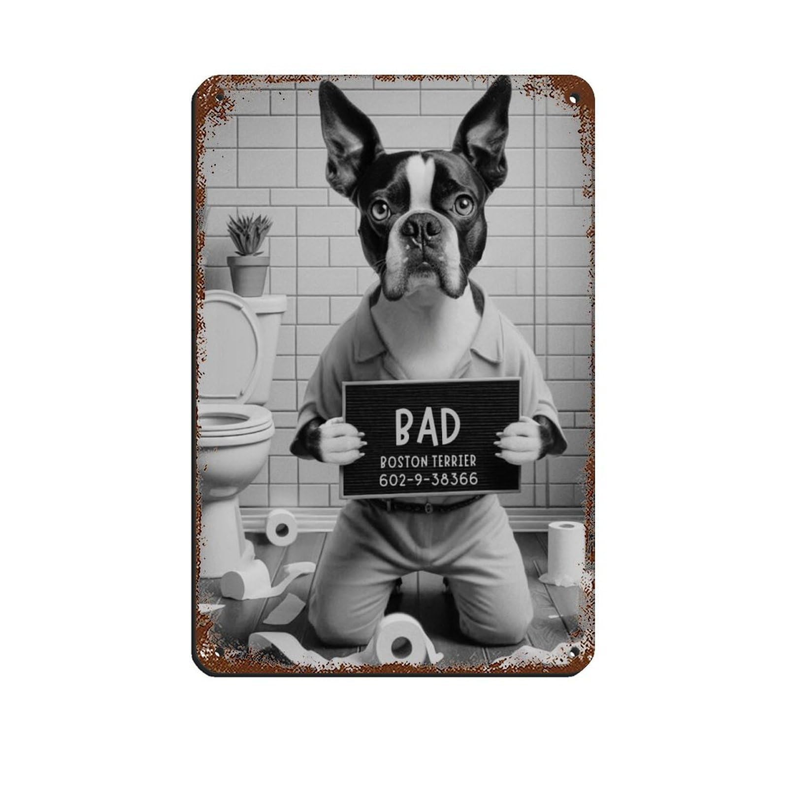 Bad Boston Terrier Bathroom Art Retro Poster Metal Tin Sign Chic Art Retro Iron Painting Bar People Cave Cafe Family Garage Poster Wall Decoration 8x12inch(20x30cm)