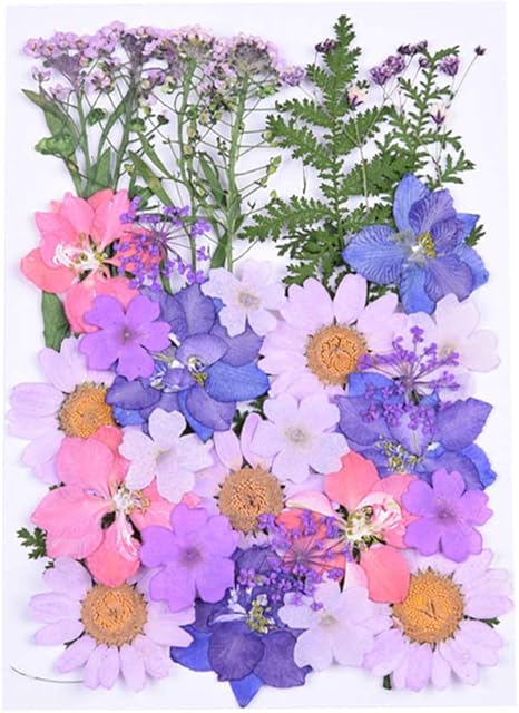 Milisten 30pcs Real Dried Pressed Flowers,Pink Purple Larkspur Natural Pressed Flowers for Scrapbooking DIY Candle Resin Jewelry Pendant Crafts Making